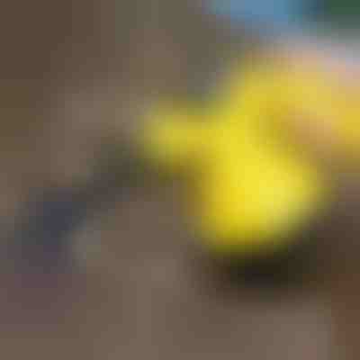 Парочистачка за дезинфекция | VAPERO