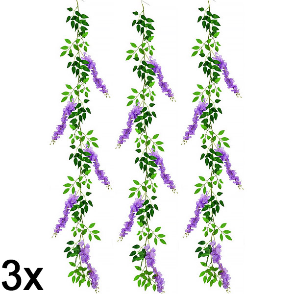 3x Клонка Глициния Цветна лоза | WISBLOOM