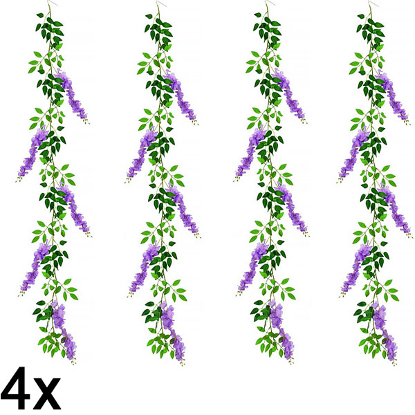 4x Клонка Глициния Цветна лоза | WISBLOOM