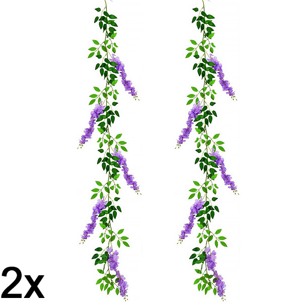 2x Клонка Глициния Цветна лоза | WISBLOOM