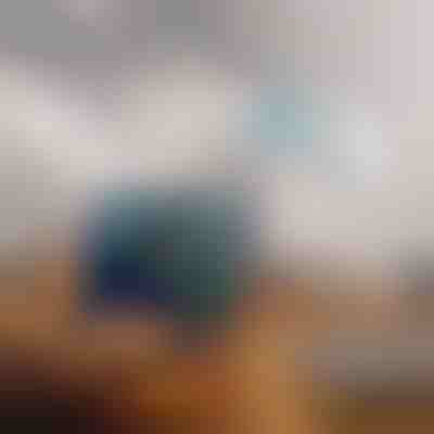 Двулентов WiFi усилвател | WIFINA